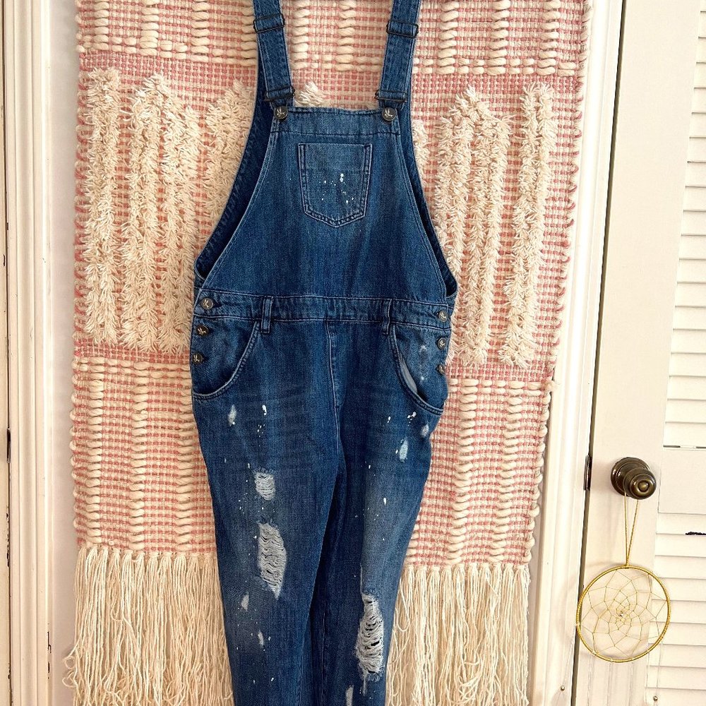 One Teaspoon Hooligan overall